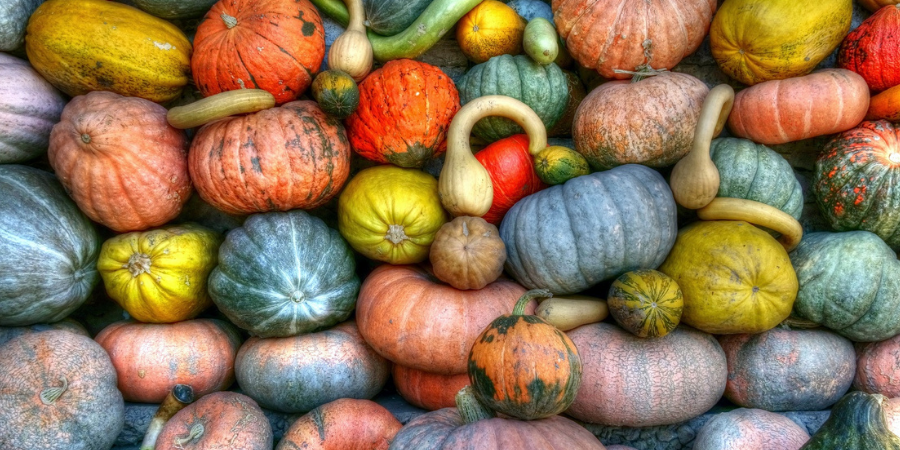 Les origines d'Halloween Les origines d'Halloween