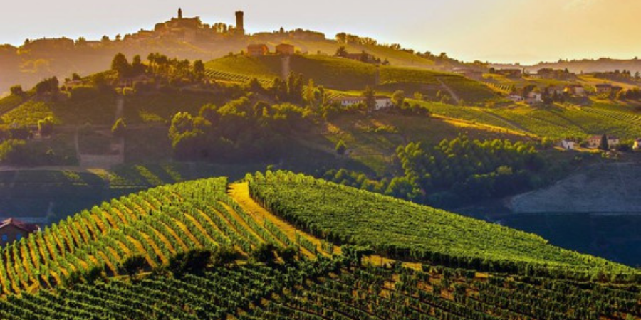 Langhe, Roero et Monferrato : les voyages du mois de septembre Langhe, Roero et Monferrato : les voyages du mois de septembre