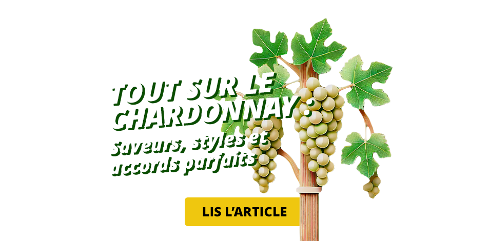 Les vins rouges et blancs de Lombardie
