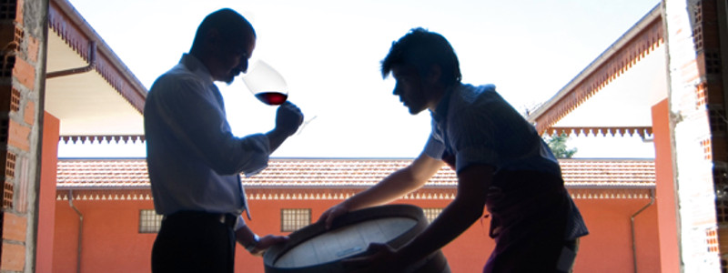 I mestieri del vino: l'enologo
